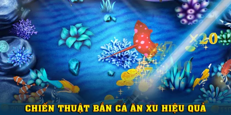 Bí kíp săn xu hiệu quả đáng áp dụng