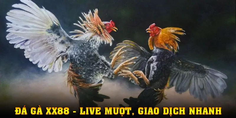 Thỏa sức trải nghiệm với tốc độ load mượt, giao dịch an toàn, uy tín