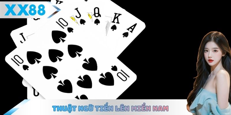 Thuật ngữ Tiến lên miền Nam